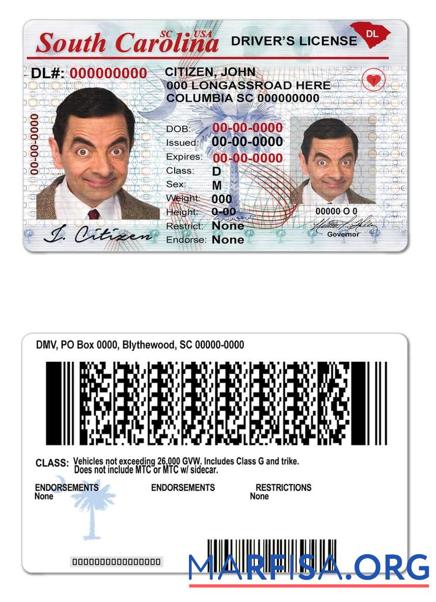 Downloadable USA South Carolina state driving license sample